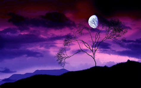 Tree Branches The Moon At Night Purple Sky Wallpaper Nature And