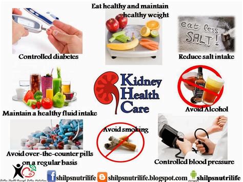 Diet What It Really Means Steps For Maintaining A Healthy Kidney