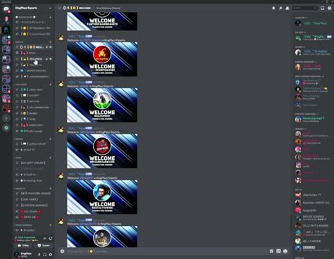 Make You A Professional Discord Server By Umerxd Fiverr