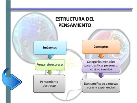 Estructura Del Pensamiento 10868 Hot Sex Picture