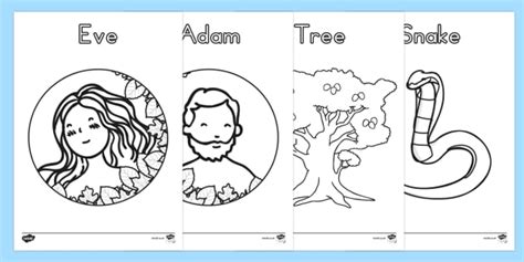Free bible coloring pages for adam and eve. Adam and Eve Creation Story Coloring Sheets (teacher made)