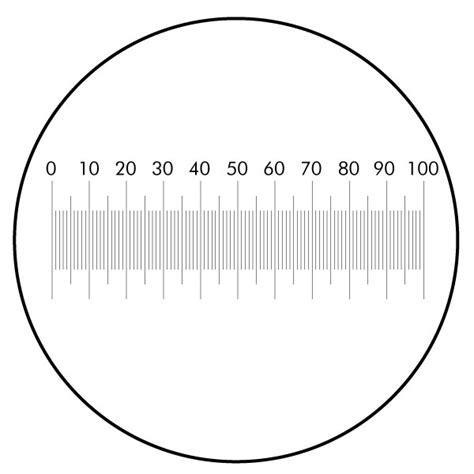 Horizontal Micrometer