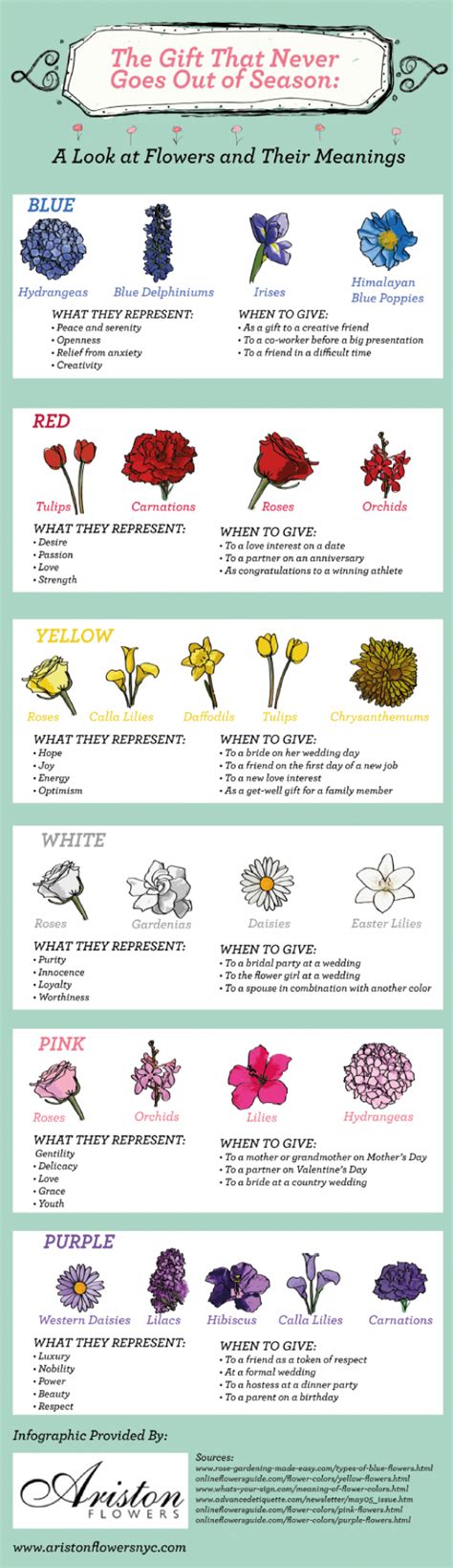 The T That Never Goes Out Of Season A Look At Flowers And Their Meanings Flower Meanings