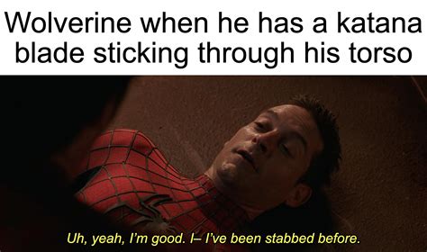 Making A Meme Of Every Raimi Character Quote From Spider Man No Way