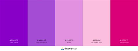 10 Purple Color Palette Inspirations With Names And Hex Codes Inside