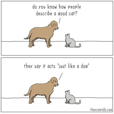 Cat And Dog Comic Strip