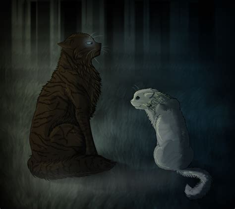 Hawkfrost Fell In Love With Ivypool In The Dark Forest He Just Knew That If He Revealed His