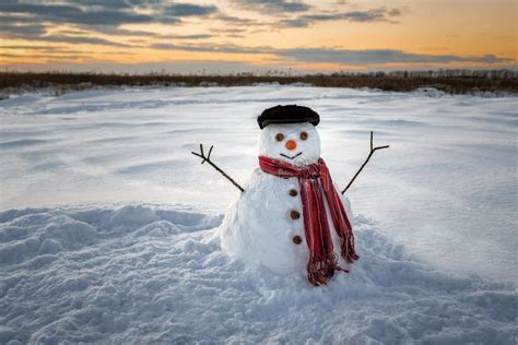 Funny Snowman At Sunset Stock Photo Image Of Blue Frozen 211651232