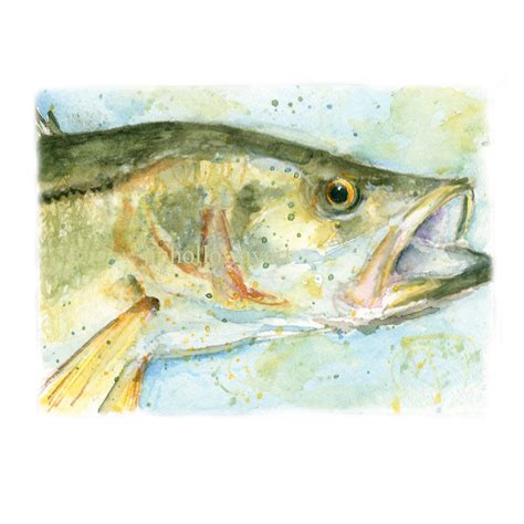 For Him Watercolor Snook Snook Print Snook Profile Print Etsy Fish