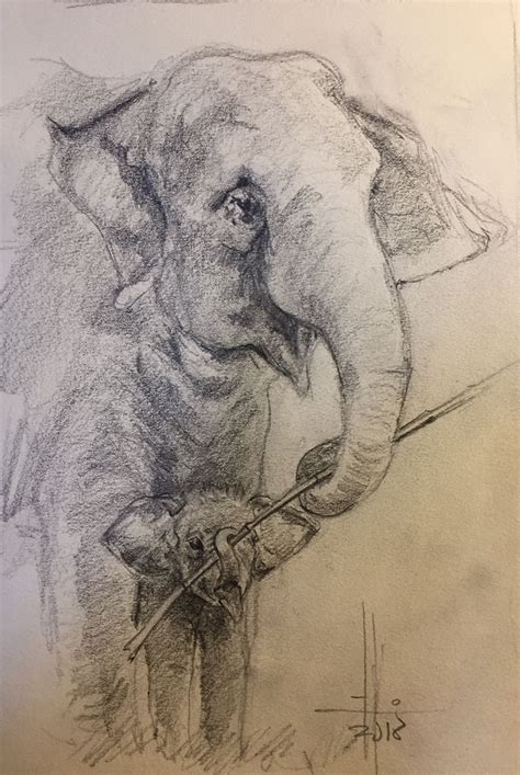 Elefante Dibujo A Lapiz Como Dibujar Un Elefante Tribal Paso A Paso