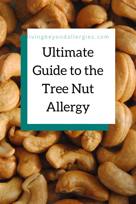 Ultimate Guide To Tree Nut Allergies Tree Nut Allergy Nut Allergies