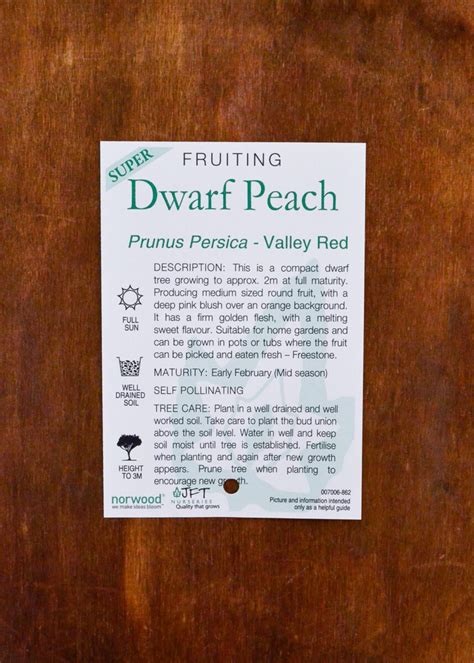 Peach Valley Red Super Dwarf Perth Wa Online Garden Centre