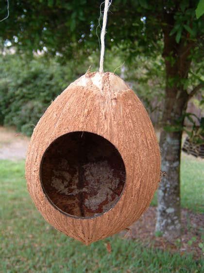 cool  cute bird houses  feeders digsdigs