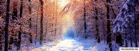 Sunny Winter Road Facebook Cover Photo