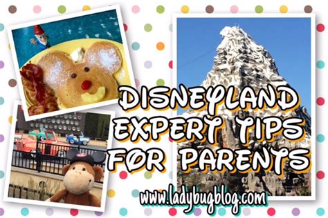 Disneyland Expert Tips For Parents And Grandparents
