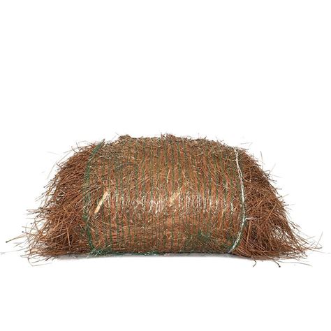 National Plant Network Long Leaf Pine Straw Bale Hd1379 The Home Depot