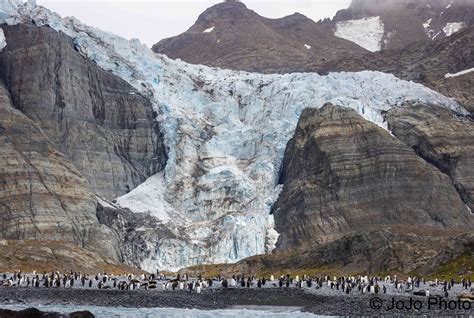 Gold Harbour South Georgia Island 69 Bertrab Glacier A Flickr