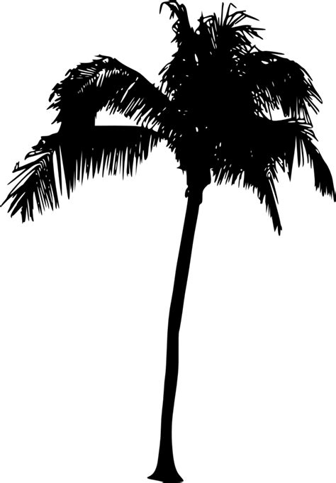 20 Palm Tree Silhouette Png Transparent Vol 2