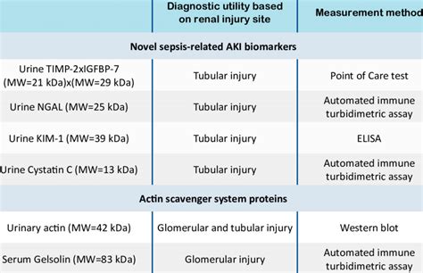 Classification Of Novel Aki Biomarkers Download Scientific Diagram