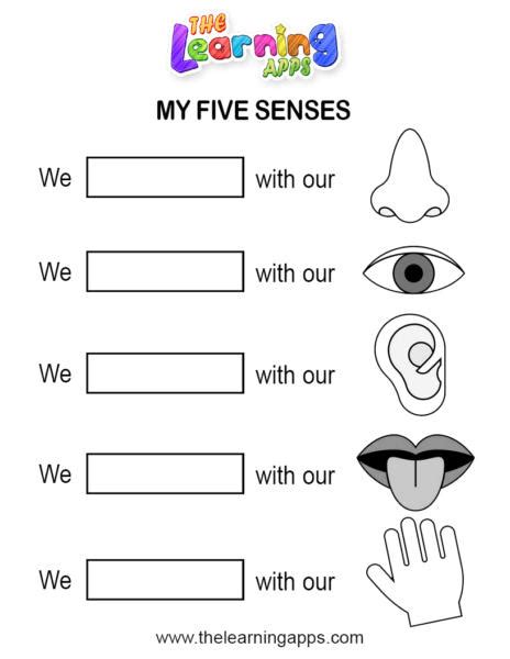 The 5 Senses Worksheets For Kids Five Senses Printables