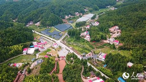 County In Se Chinas Fujian Develops Under Forest Industries To Shake