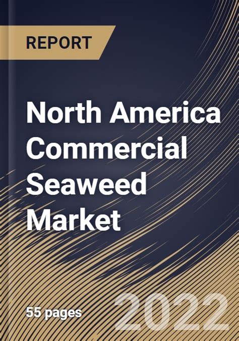 North America Commercial Seaweed Market Size Share Industry Trends