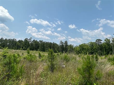 Land For Sale - Emerson, Ar!!