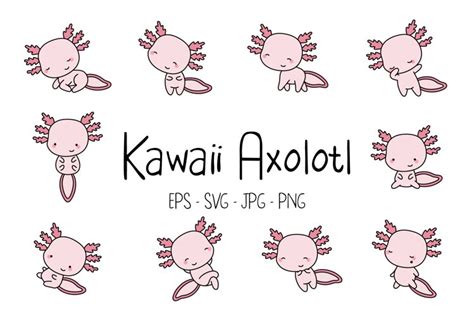 Set Kawaii Axolotl Clipart Axolotl 2017176