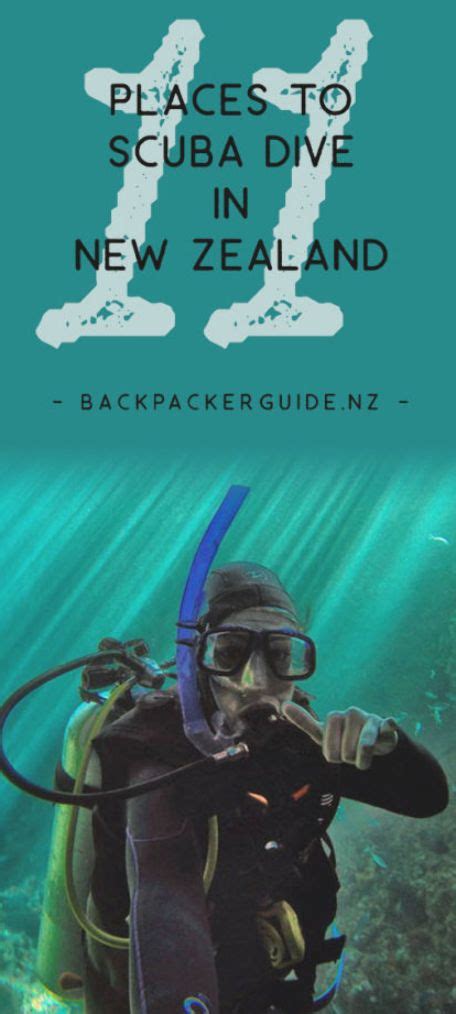 11 Places To Scuba Dive In New Zealand Backpacker Guide New Zealand