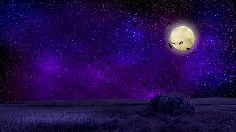 Full Moon Starry Sky Birds Night Photoshop 4k Hd Wallpaper