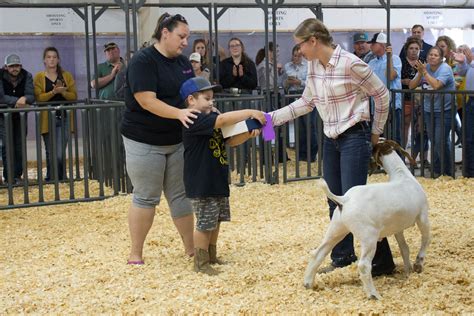 2021 Morgan County Fair Goat Show Results Released The Fort Morgan Times