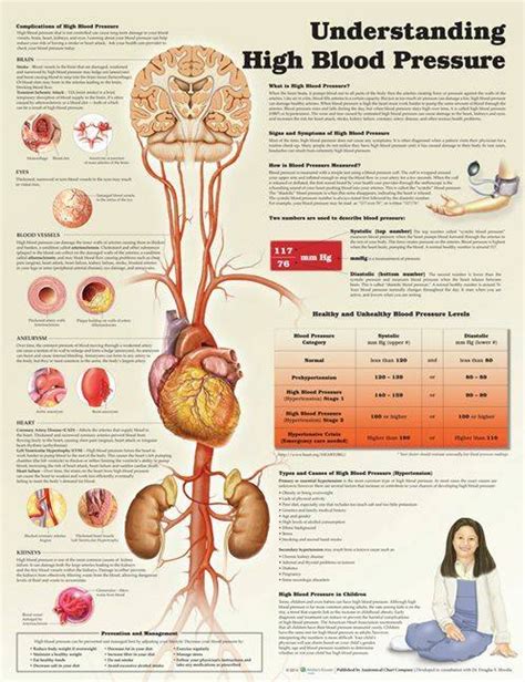 Anatomical Chart High Blood Pressure