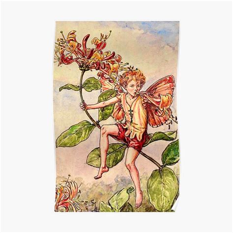 The Honeysuckle Fairy” By Cicely Mary Barker Poster For Sale By