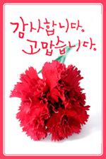 대형 츄파춥스 비누꽃부케 어린이집 유치원 졸업식 사탕부케 꽃다발 화이트데이. 어버이날문자 - 문자대표