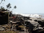 'Wave' Tells A True Story Of Survival And Loss In The 2004 Tsunami ...