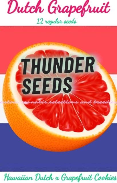 Thunder Seeds Dutch Grapefruit Neptune Seed Bank Cannabis Strains