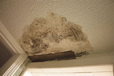 Water damage mold is one of the gravest effects of water damage in a home. Patch a Popcorn Ceiling - Extreme How To