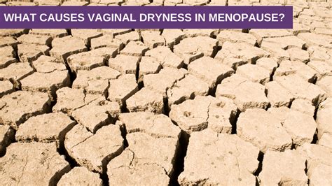 What Causes Vaginal Dryness In Menopause Genesis Gold