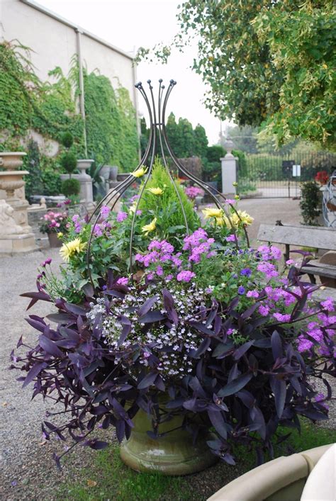 Container Gardening Designing An Aesthetic Low Maintenance Garden In