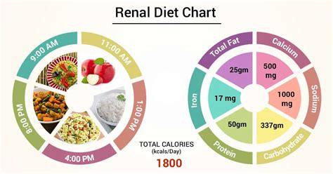 Renal Nutrition Program Besto Blog