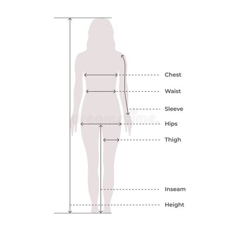 Woman Female Body Measurement Proportions For Clothing Design And