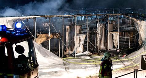 Großes angebot, faire preise, geprüfte anbieter, top service Gelsenkirchen: Brand in Asylunterkunft - Kein Hinweis auf ...