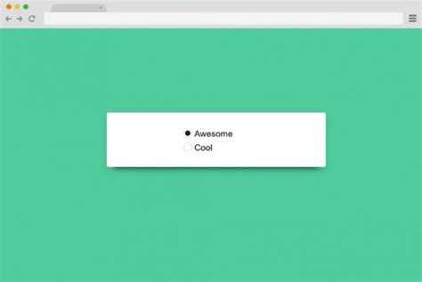 35 Pleasing Css Radio Button Inspirations For Your Next Projects 2020