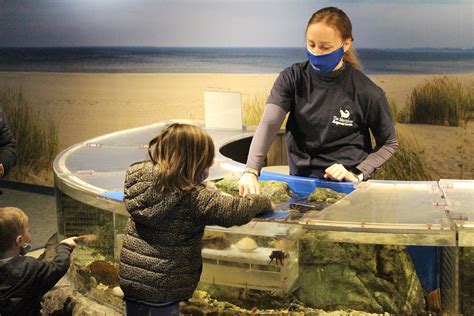 Maritime Aquarium Welcomes Teens To Apply For Volunteer Positions — The