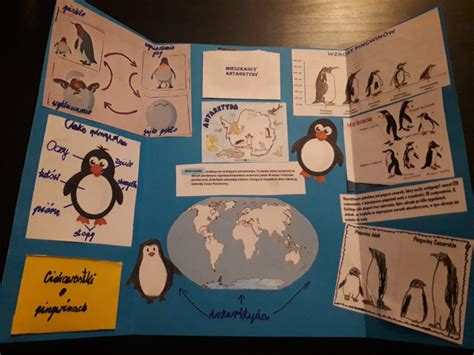 Z wizytą na Antarktydzie Szkoła Podstawowa