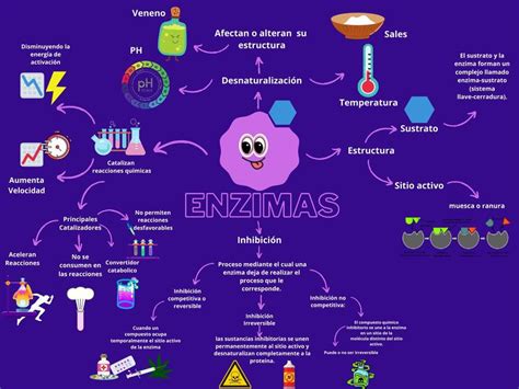 Mapa Mental Sobre Enzimas Study Maps Hot Sex Picture