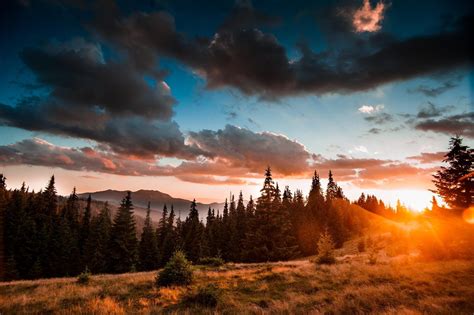ukraine, Carpathian, Mountains, Landscape, Forest Wallpapers HD