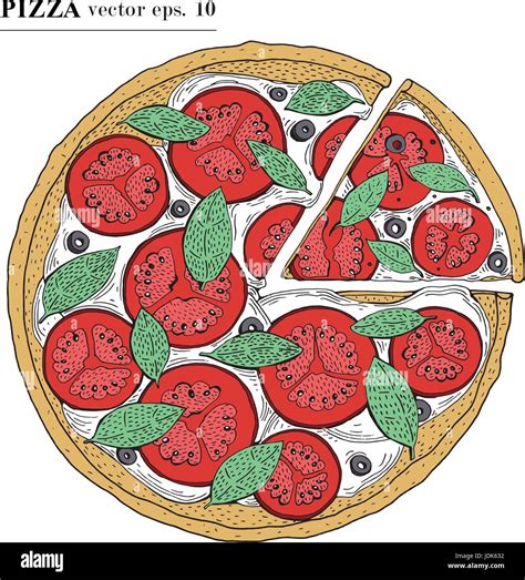 Pizza Margarita Dibujadas A Mano Ilustración Vectorial Se Pueden