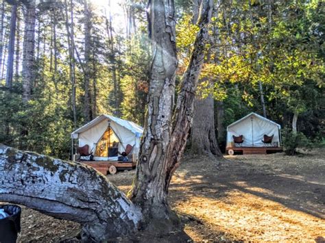 Maybe you would like to learn more about one of these? Mendocino Grove Campground (Mendocino, CA): What to Know ...