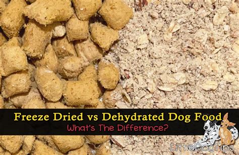 Marty the best part is that the dog food is 'absolutely safe and reliable' as it does not contain any fillers or artificial additives and is a completely 'grain and. Freeze Dried Vs Dehydrated Dog Food… What's The Difference ...